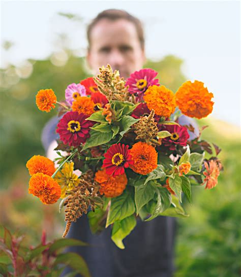 Annual Flowers That Bloom All Summer / 15 Best Annual Flowers Annual Flowers List - Flowers ...