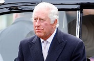 查尔斯国王将在白金汉宫为哈里王子和梅根提供房间