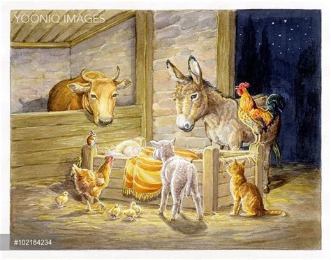 Nativity Scene With Donkey Cat Lamb Hen Etc Around Baby Jesus