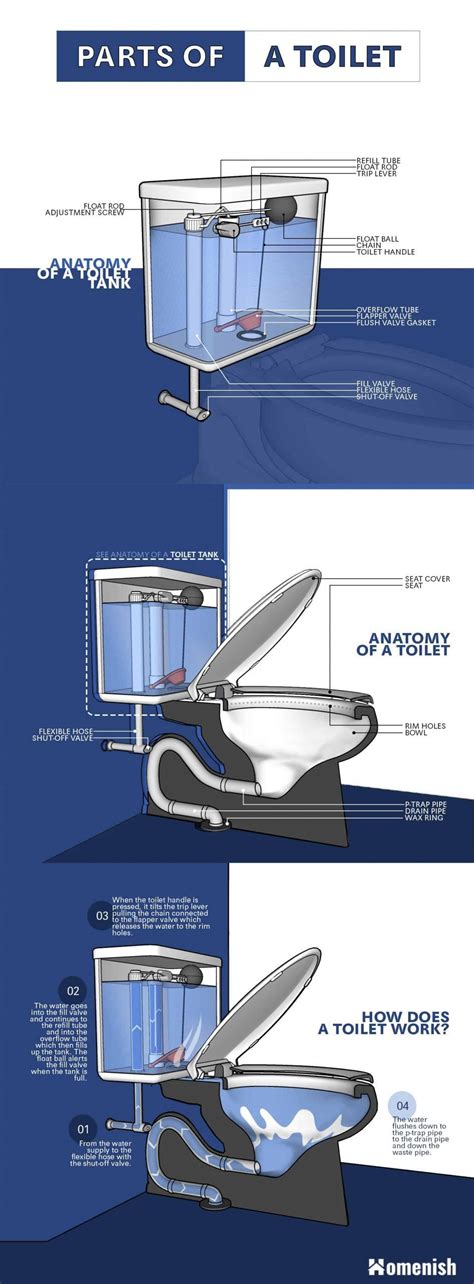 Toilets Are An Essential Part Of Any Home To The Point That Many Of Us