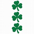 The Meaning Behind The Irish Shamrock - Oakdale Leader