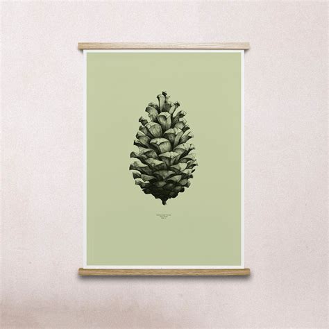 Nature 1:1 Pine Cone Green Print | Green print, Book art, Pine cones