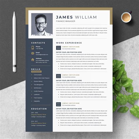 Professional Word Resume Template Illustrator Templates Creative Market