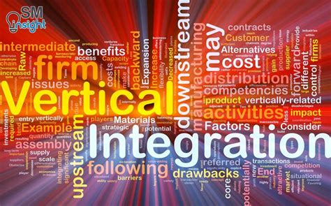 Vertical Integration The Ultimate Guide Sm Insight