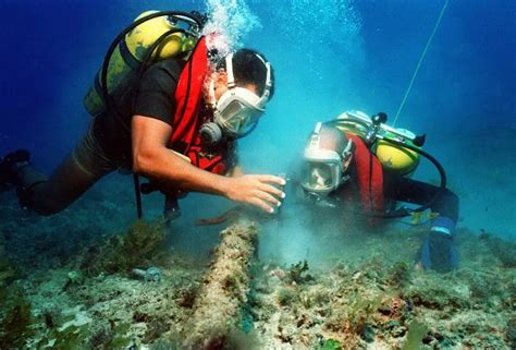 How To Become A Marine Biologist Your Path To A Career Among The Waves
