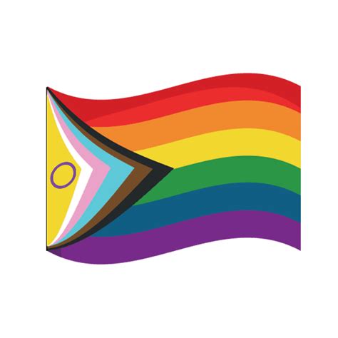 Pride Flags What 23 Lgbtq Flags Represent