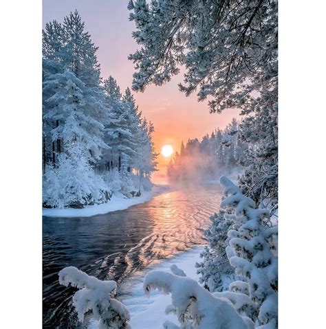 Winter Snow Scene Photography Backdrop With Sunset Photo Booth Etsy