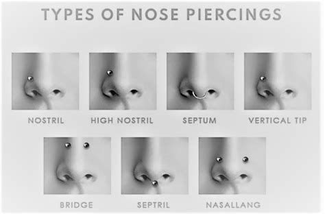 Top Most Popular Types Of Nose Piercings Youtube Vrogue