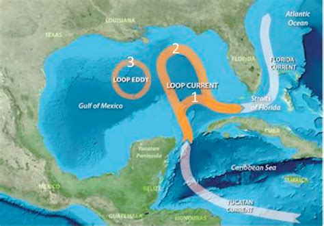 Summary Understanding And Predicting The Gulf Of Mexico Loop Current
