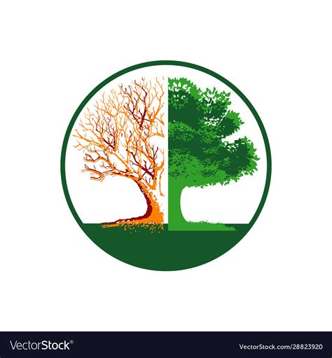 Forest Conservation Logo Design Silhouette Vector Image