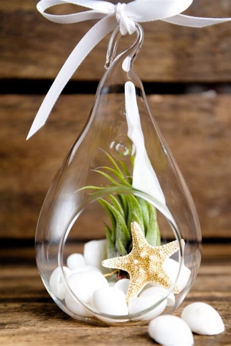Don't let the lack of soil scare you away—air plants are easy to care for once you know what they need. 50 creative ideas to display your air plants in a most ...