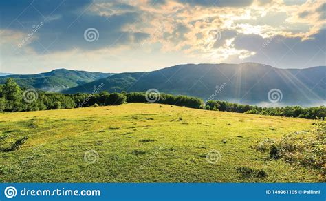 Meadow On The Hill Among The Forest Stock Image Image Of Outdoor