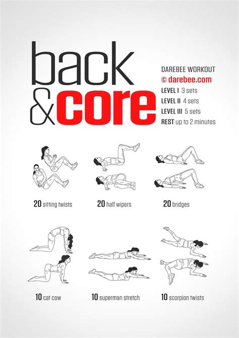 15 Minute Core Workout Routine At Home For Beginners For Fat Body