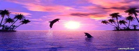 Aiden hoy and facebook : Dolphins At Sunset Facebook Covers, Dolphins At Sunset FB ...