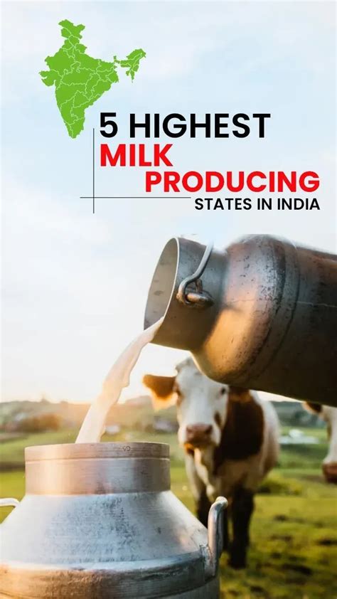 5 Highest Milk Producing States In India