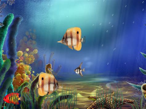 Windows 10 Aquarium Screensaver - Animated Aquarium Screensaver ...
