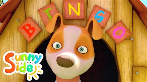 Bingo Canción Infantil Sunnyside Canciones Para Niños Y Dibujos Infantiles Youtube