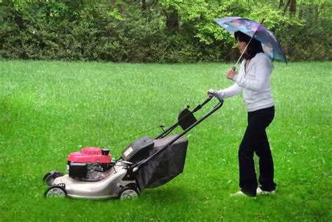 How Do You Mow Your Lawn When Its Wet As A Swamp We Asked An Expert