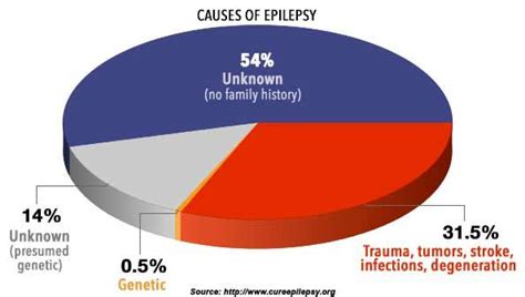 Periods And Seizures What Is Catamenial Epilepsy Ecofemme