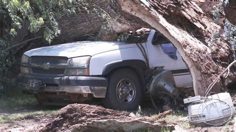 Massive Tree Crushes Kingfisher County Mans Work Truck After Severe Storm