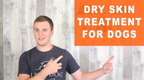 Dry Skin Treatment For Dogs Remedy Your Dogs Dry Itchy Skin Youtube