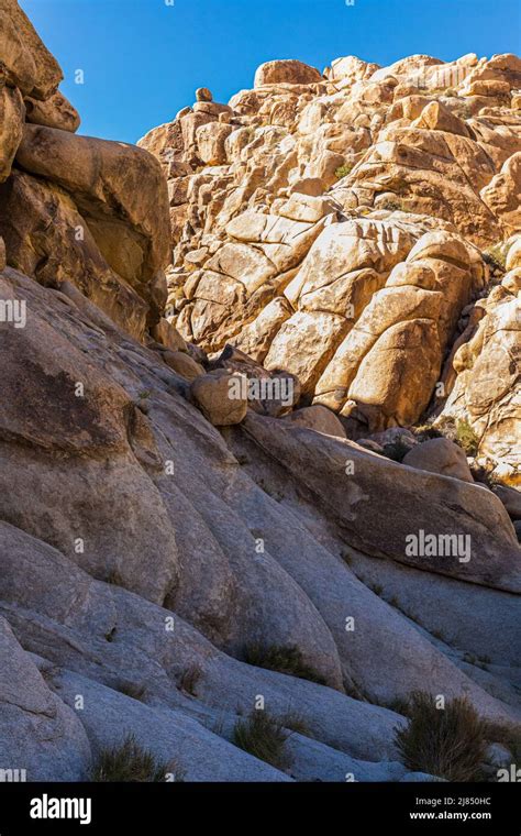 The Rock Walls Of Rattlesnake Canyon In Joshua Tree National Park Stock