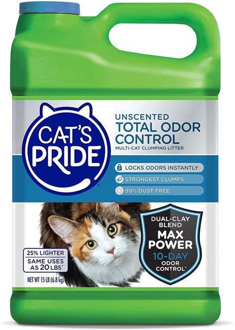Best Non Clumping Cat Litter Reviews 2021 Kitten Passion