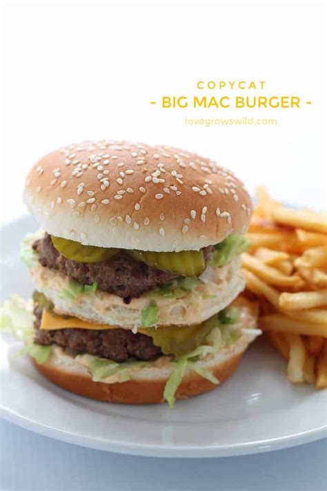Cute bunny burger plush from kimchi kawaii. Big Mac Burger | Healthy Chicken Recipes