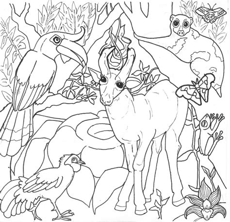 Coloriage Animaux De La Jungle Wonder