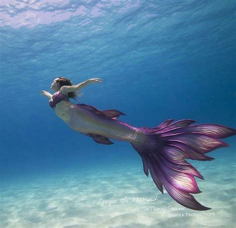 ∵ ∵ Mermaid Man Siren Mermaid Mermaid Fairy Mermaid Dreams