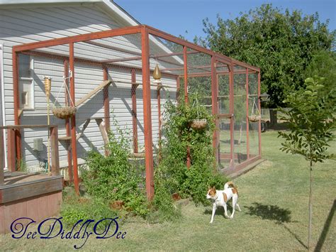 Luxury real estate for cats: How To build an outdoor cat enclosure or catio