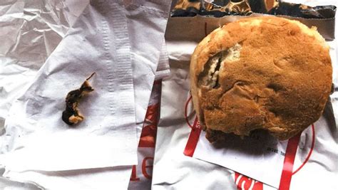 Lawsuit Claims Rodent Was Baked Into Chick Fil A Sandwich