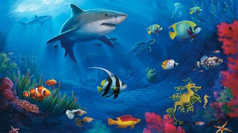Fish Live Wallpaper For Pc 1920x1080 Underwater Wallpaper Shark