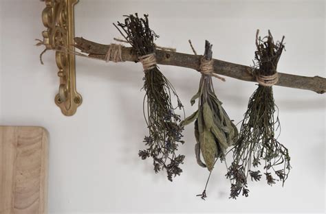 Diy Herb And Flower Drying Rack Hollie Berries