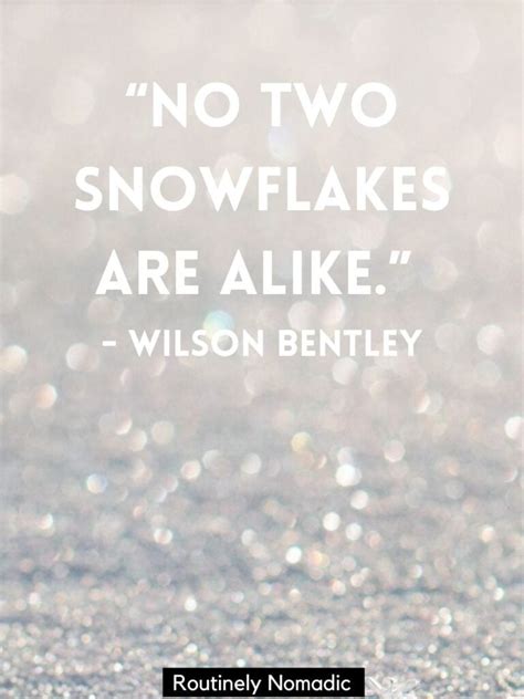 Snowflake Quotes 110 Best Snowflake Sayings Routinely Nomadic