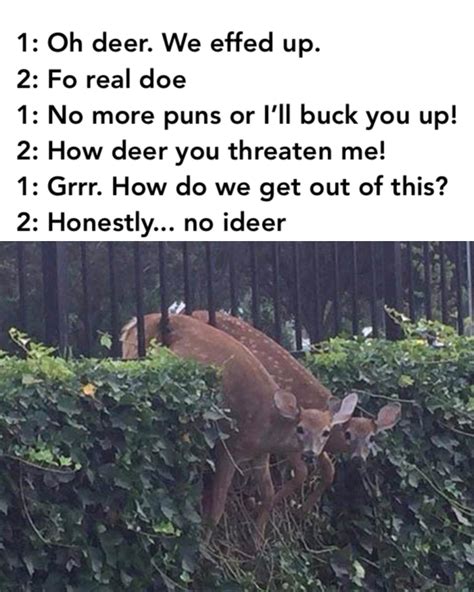 46 Hilarious Deer Puns Punstoppable 🛑