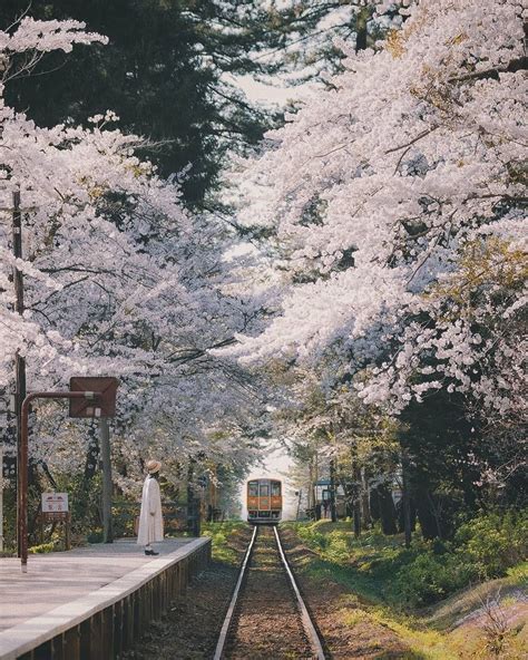 Japan Travel Guide 日本旅行ガイド On Instagram “japan Is Famous Over The