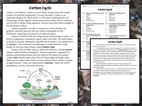 Carbon Cycle Reading Comprehension Passage And Questions Pdf Teaching Resources