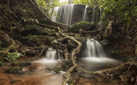 tropical-waterfall-in-the-forest-two-green-moss-roots-streams-on-clear