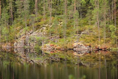 Landscape Reflection From Forest Lake In Finland Stock Photo Image Of