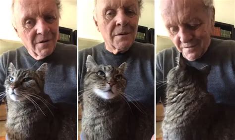 Anthony Hopkins Playing Piano For His Cat While In Quarantine Is What