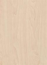 Pictures of Maple Plywood