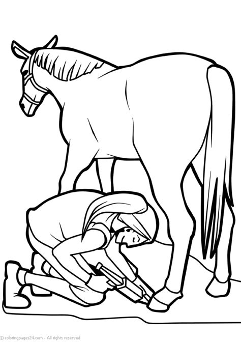 horses coloring pages books    printable