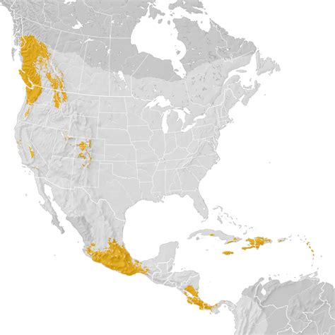 Black Swift Range Map Post Breeding Migration Ebird Status And Trends