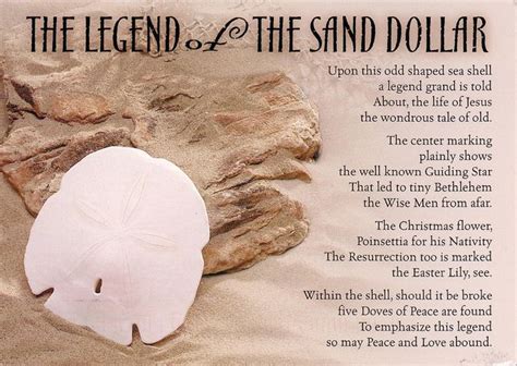 The Legend Of The Sand Dollar Sand Dollar Sand Dollar Decor Dollar