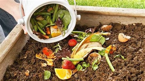 Cómo Hacer De Manera Fácil Y Casera Un Compost Hábito Sustentable Cada