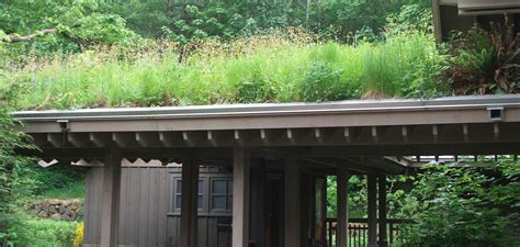 Choose durable roofing materials that will last through wind, precipitation and exposure to u.v rays. This is an image of a green roof.