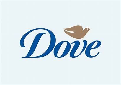 Dove Freevector Graphics