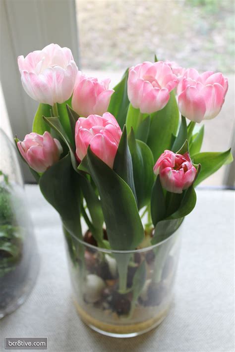 Decorate For Spring With Forced Bulbs For Indoor Blooms