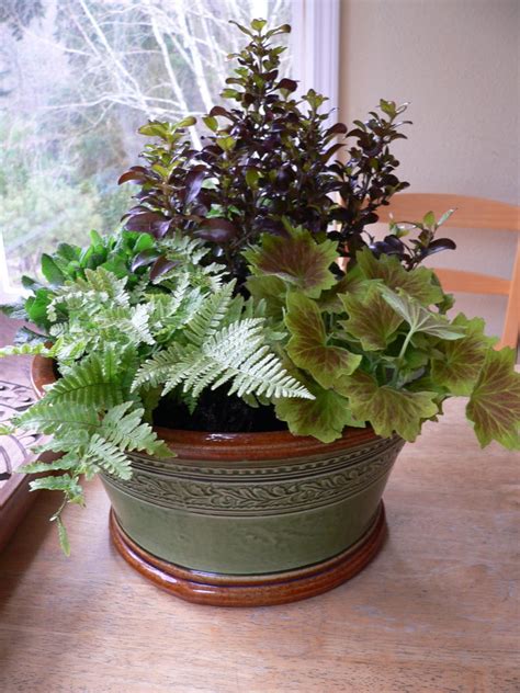 The rusty wheelbarrow becomes a rich haven for a large hosta, while some of your favorite mosaic pots hold your other plant friends. Five steps to quick plant arrangements in pots - The Pecks ...